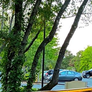 Meet your Posher, Kumar